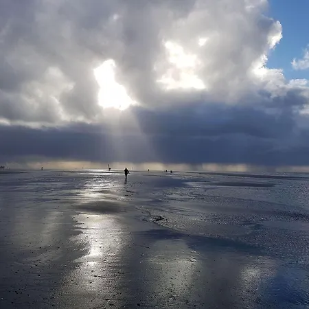 Haus-calidris-whg-01 Διαμέρισμα